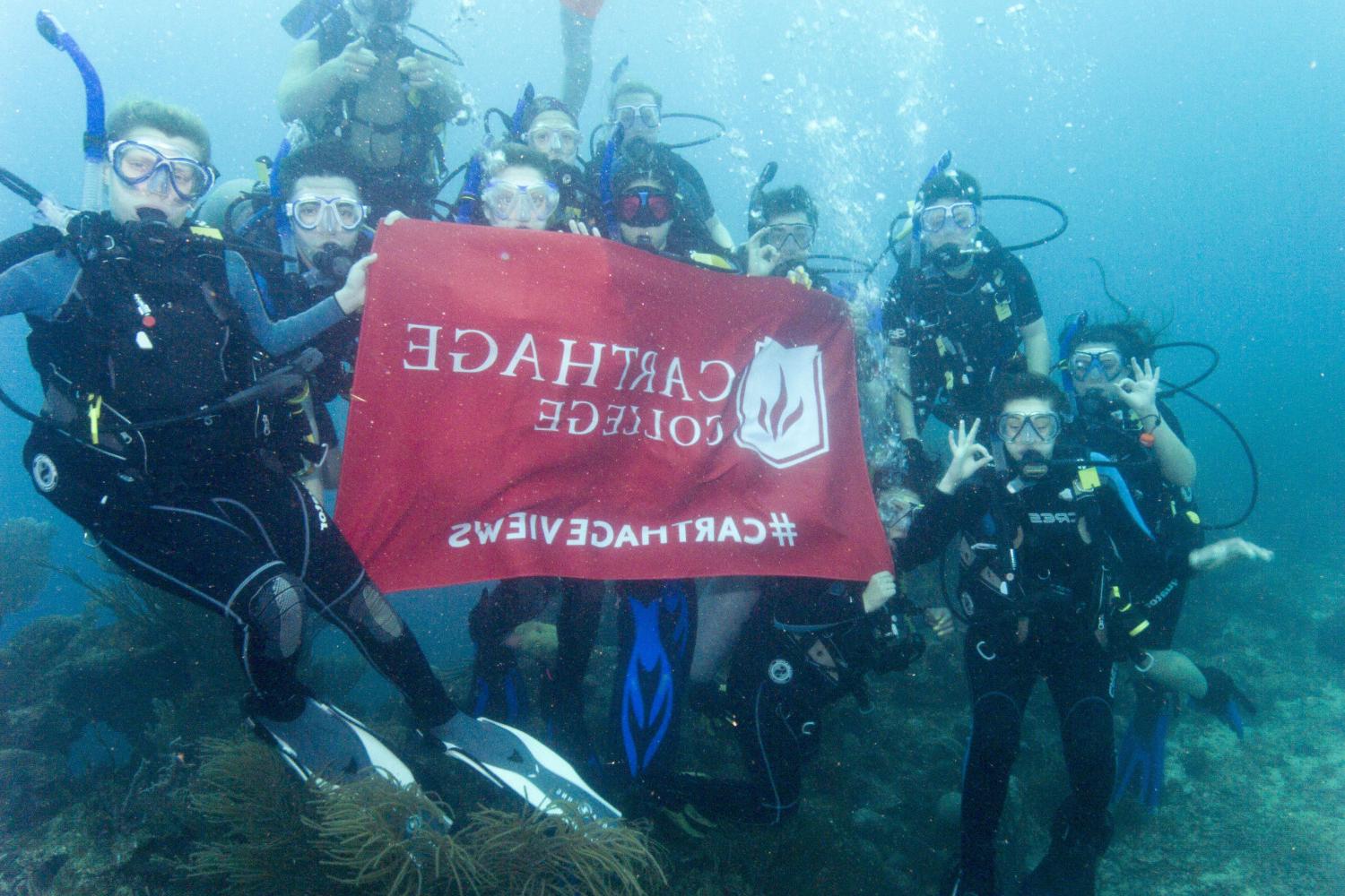 学生们手持<a href='http://safety.5g-taiou-wifi.net'>博彩网址大全</a>旗帜，在j学期洪都拉斯游学之旅中潜水.